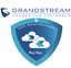 Grandstream UCM RemoteConnect Annual Subscription Plan- UCMRC Plus image 0