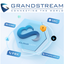 Grandstream CloudUCM PBX Annual Subscription Plan- CloudUCM Business image 0