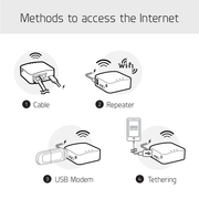 Mango internet access options
