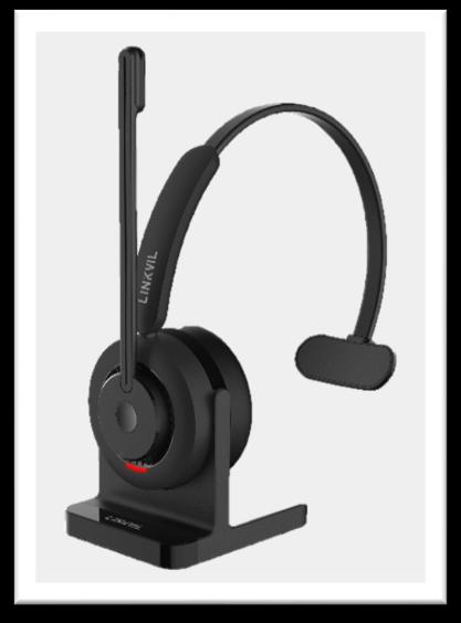 Fanvil Linkvil DH301B Wireless Headset
