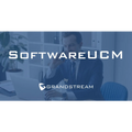 SOFTWARE UCM - UPGRADE 100 PACKAGE EXTRA 100 EXTENSIONS & EXTRA 24 CONCURRENT CALLS